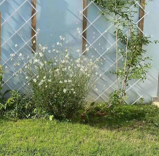 Villa Panorama Modi *