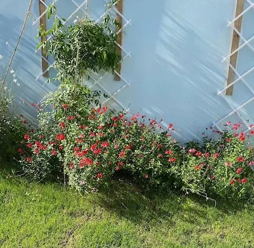 Panorama Modi Χανιά